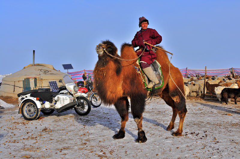 Mongolie